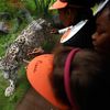 Kids Say the Darndest Things About Snow Leopards